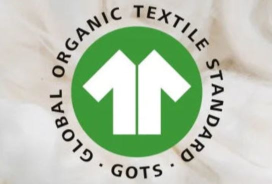 T SHIRT HARRI ORRI AR