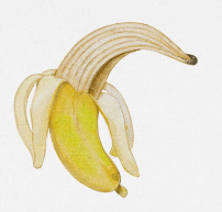 T SHIRT BANANA XISTERA